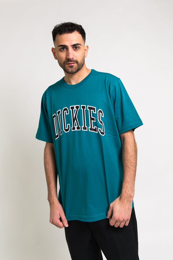 T-shirt uomo dickies p234x9fe641